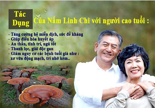 tac dung nam 2